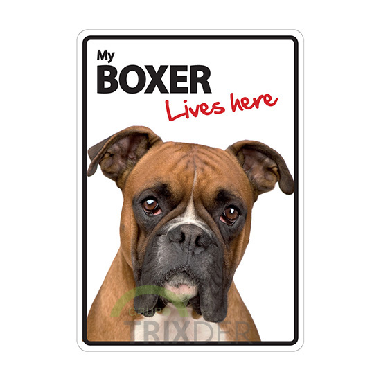 Señal A5 'Boxer - Lives Here', 14.8 x 21 cm       