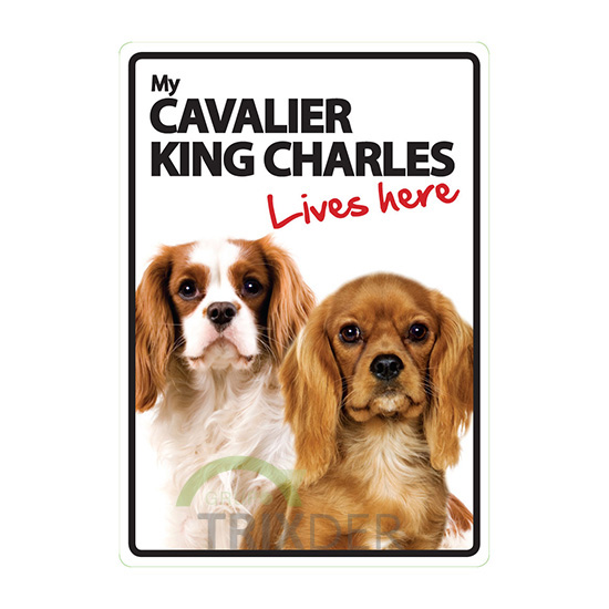 Señal A5 'CavalierKingCharles-LivesHere',14.8x21cm