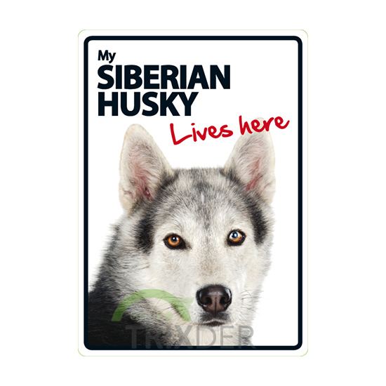 Señal A5 'Siberian Husky - Lives Here', 14.8x21cm 