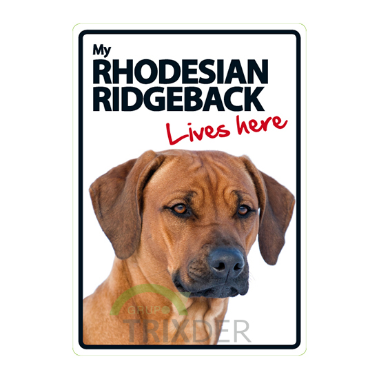Señal A5 'RhodesianRidgeback-LivesHere', 14.8x21cm