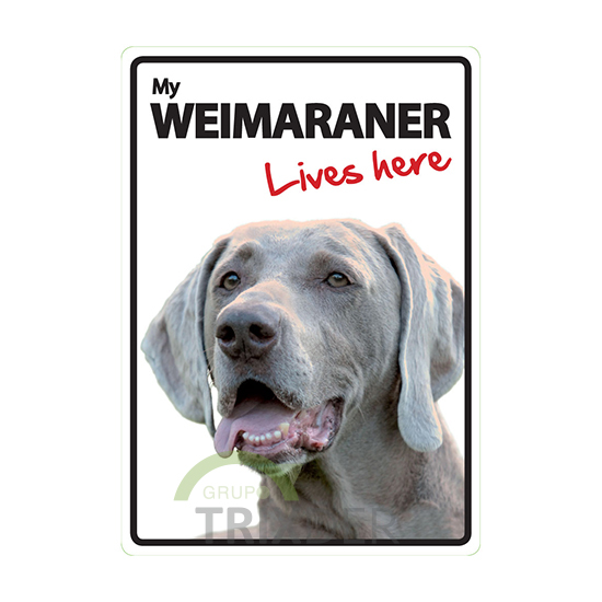 Señal A5 'Weimaraner - Lives Here', 14.8 x 21 cm  