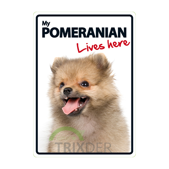 Señal A5 'Pomeranian - Lives Here', 14.8 x 21 cm  
