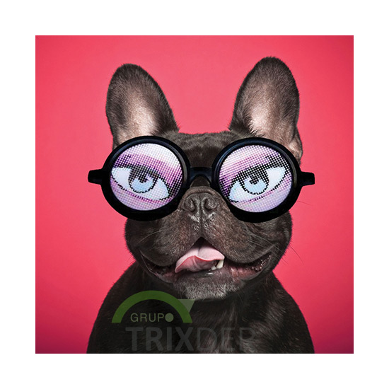 Tarjeta Fashion Bulldog con Gafas de Sol, 15x15 cm