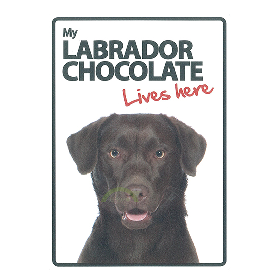 Señal A5 'LabradorChocolate-LivesHere', 14.8x21cm 