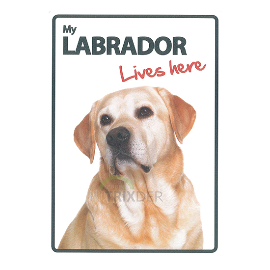 Señal A5 'Labrador - Lives Here', 14.8 x 21 cm    