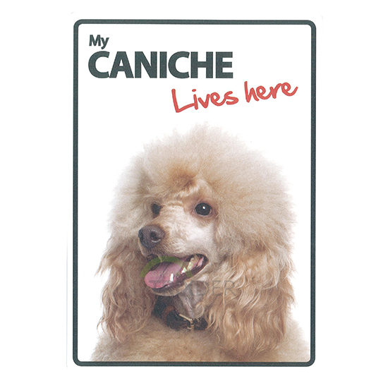 Señal A5 'Caniche - Lives Here', 14.8 x 21 cm     
