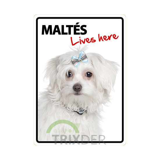 Señal A5 'Maltés Lives Here' 14.8x21cm            